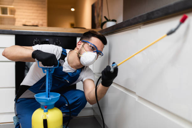 Trusted Neffs, OH Pest Control Experts