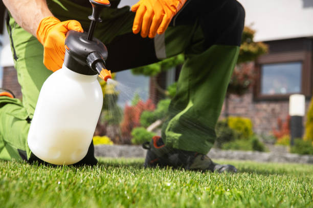 Best Best Pest Control Companies  in Neffs, OH