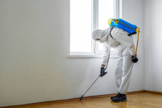Best Pest Inspection Near Me  in Neffs, OH