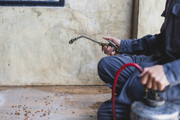 Best Mosquito Control Services  in Neffs, OH